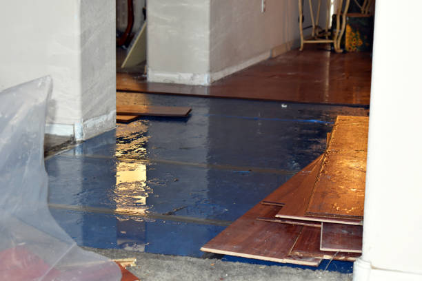 Professional Basement Flood Cleanup technician working in Albany, IN